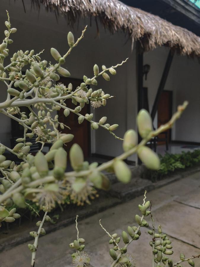 Mimi Kuta Homestay 외부 사진